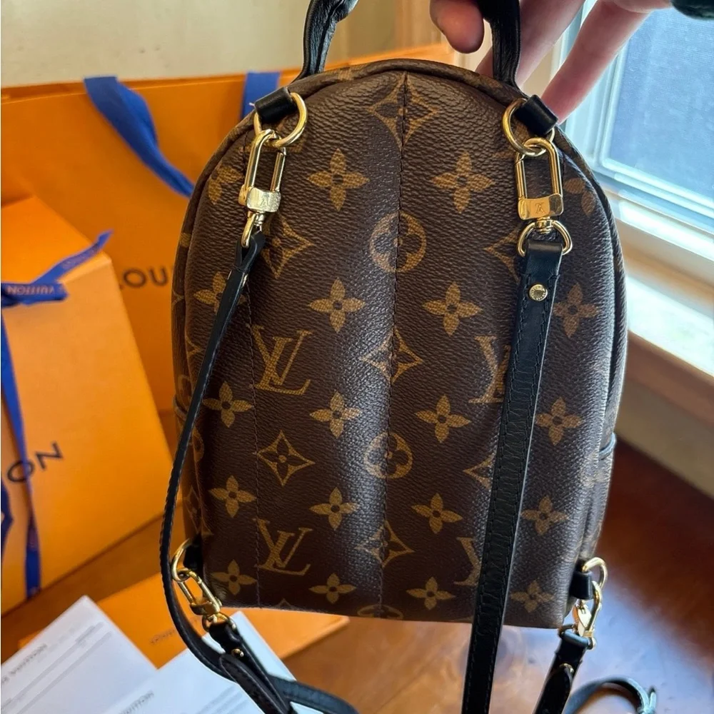 Authentic Louis Vuitton Palm Spings Mini - Picture 5 of 12